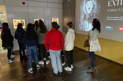 FEDA Cultura tanca el curs amb la participació rècord de 3.176 escolars en les seves activitats